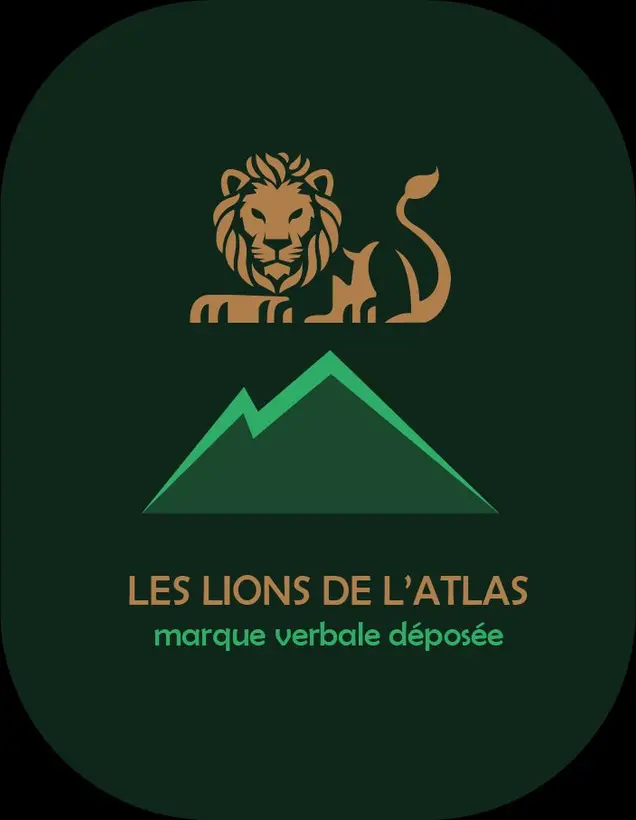 Visuel Lions de l'Atlas