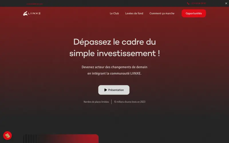 Aperçu du site Liinxe