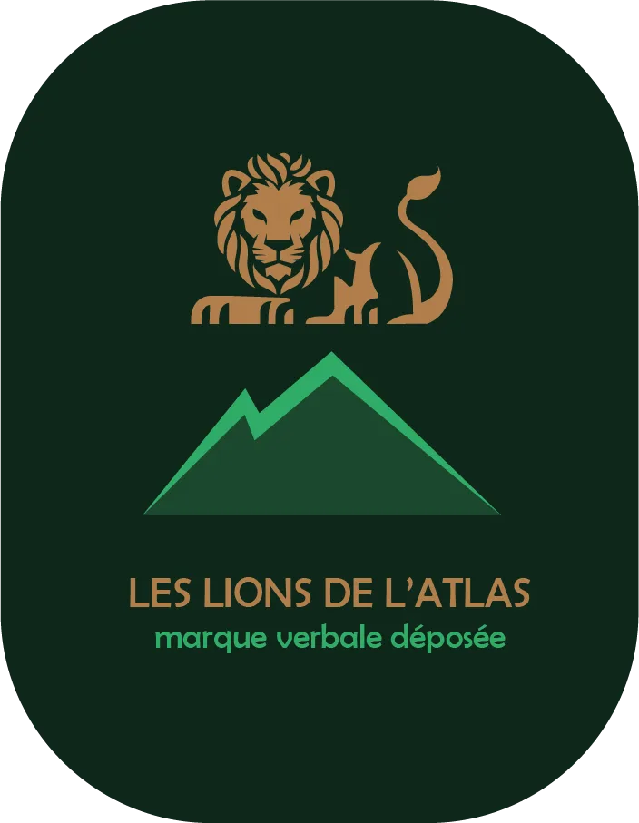 Aperçu du projet Lions de l'Atlas