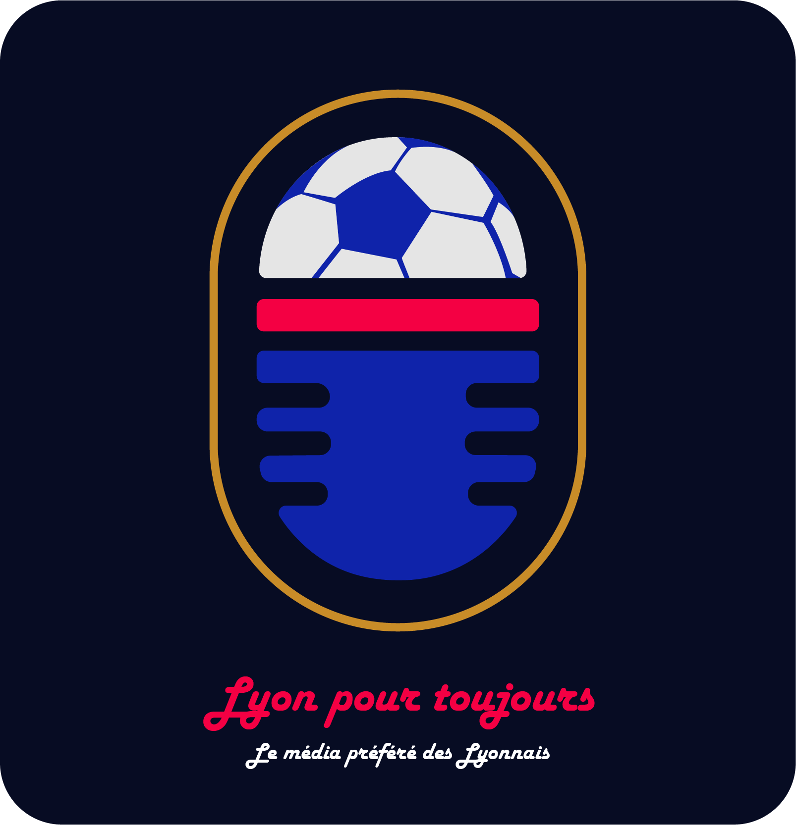 Capture d'écran du site Média-Lyon Pour Toujours